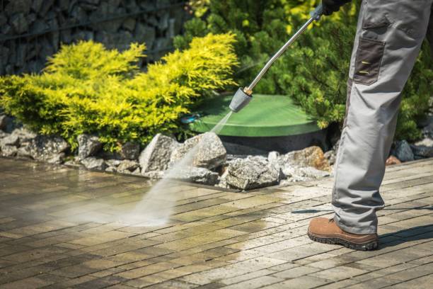 Best Gutter Cleaning  in Reading, OH